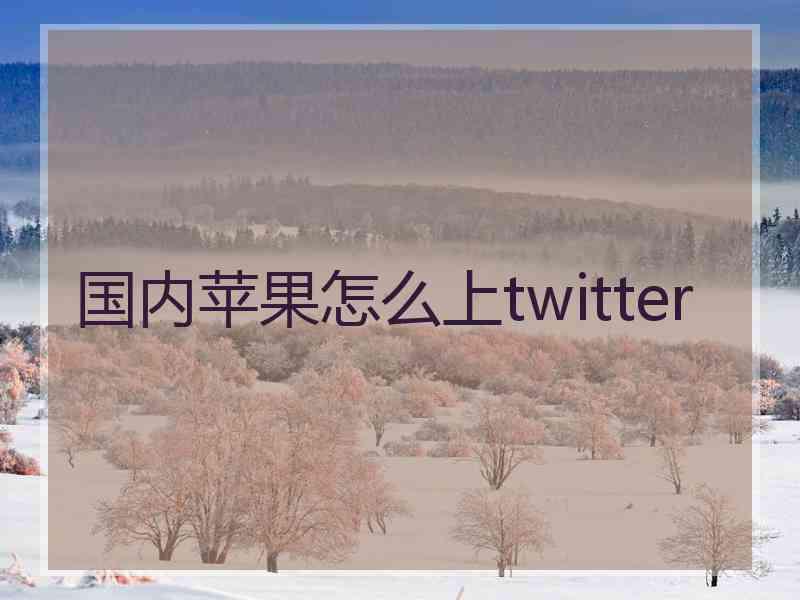 国内苹果怎么上twitter 国内苹果怎么上twitter