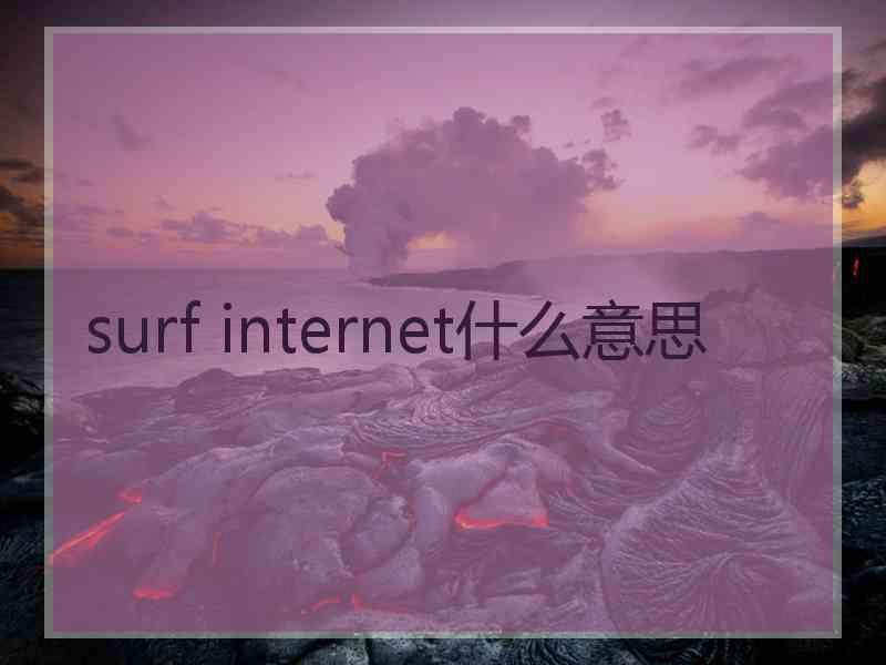 surf internet什么意思