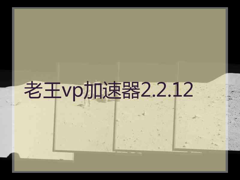 老王vp加速器2.2.12