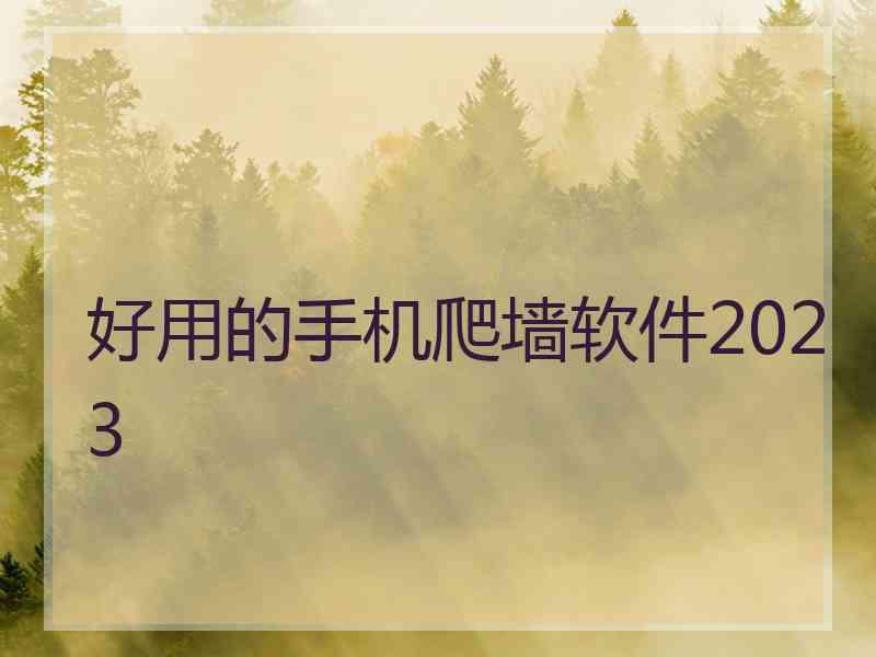 好用的手机爬墙软件2023