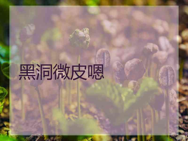 黑洞微皮嗯