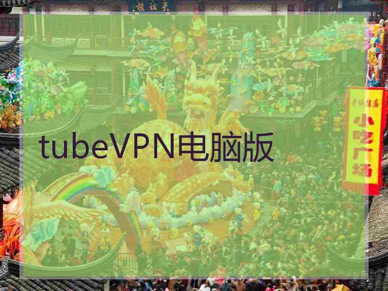 tubeVPN电脑版