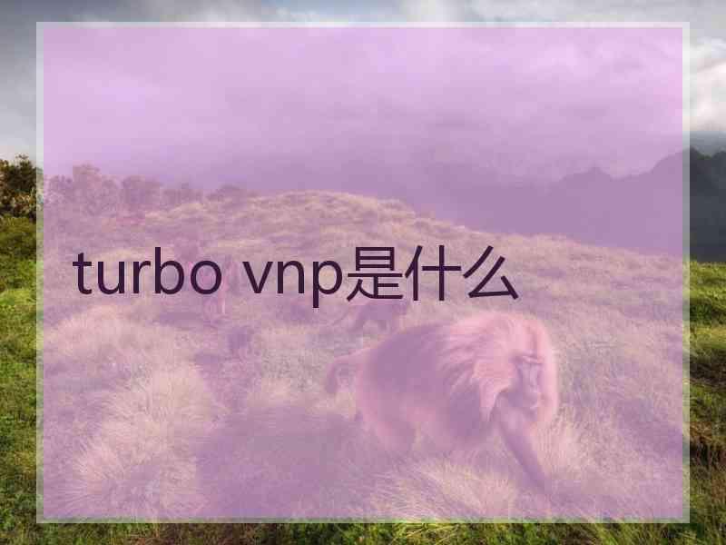 turbo vnp是什么