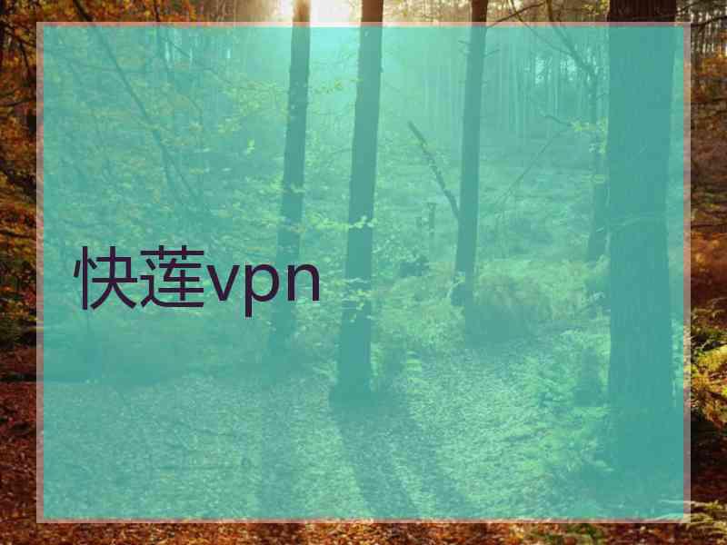 快莲vpn