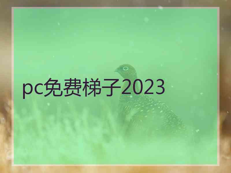 pc免费梯子2023