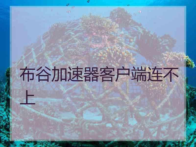 布谷加速器客户端连不上