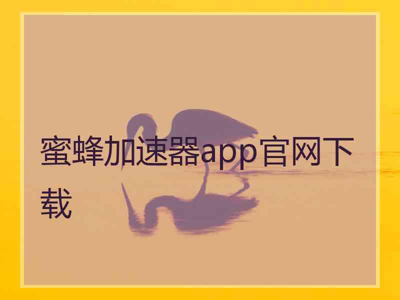 蜜蜂加速器app官网下载