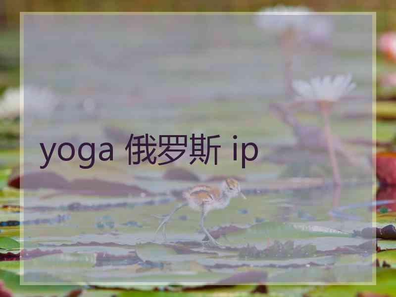 yoga 俄罗斯 ip