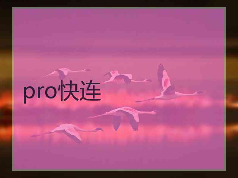 pro快连