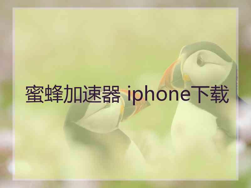 蜜蜂加速器 iphone下载