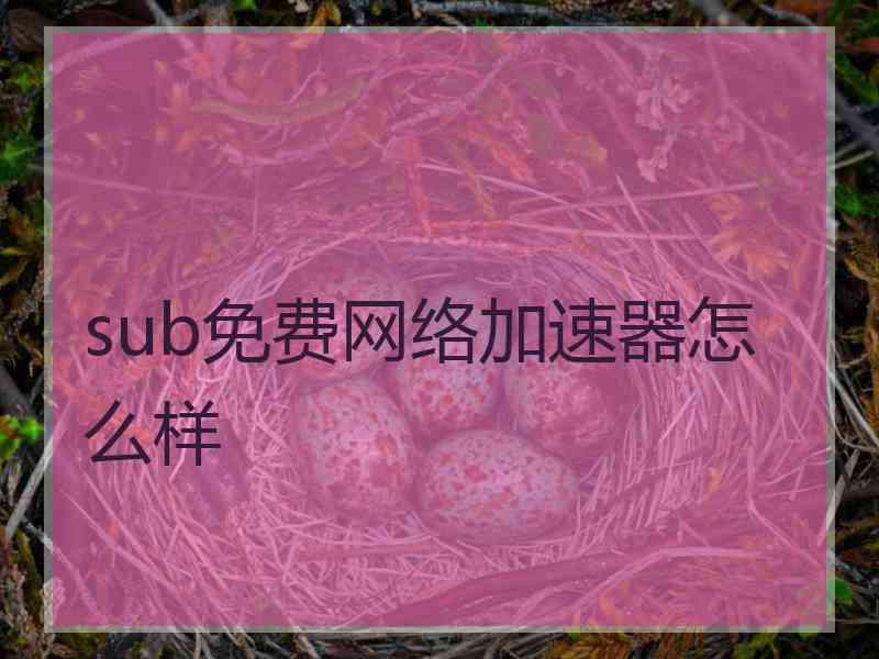 sub免费网络加速器怎么样