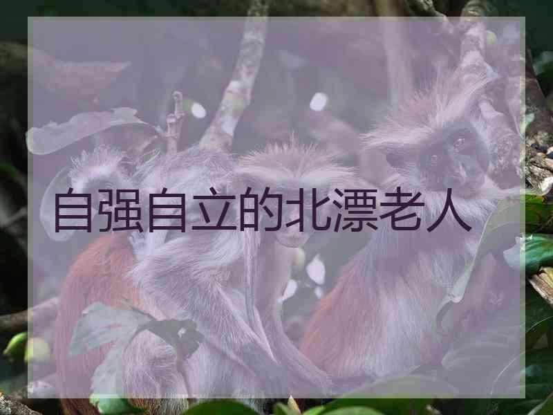 自强自立的北漂老人