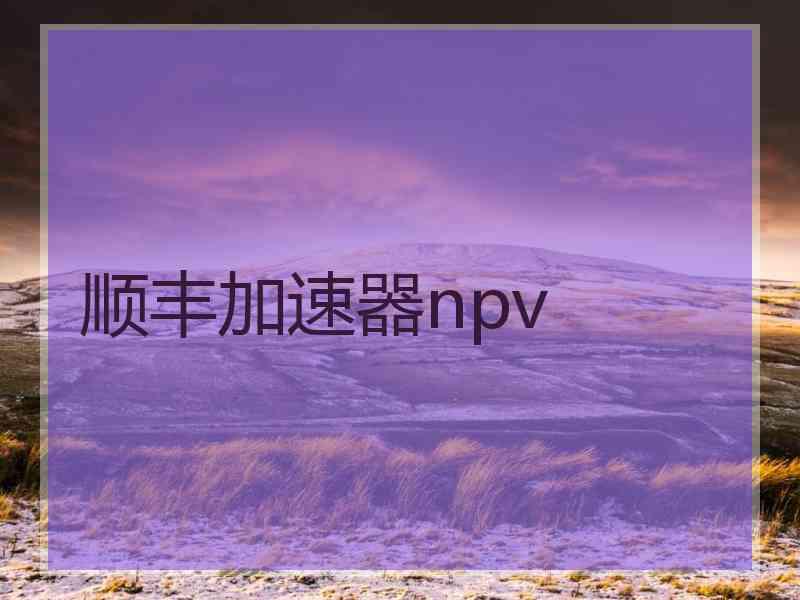 顺丰加速器npv