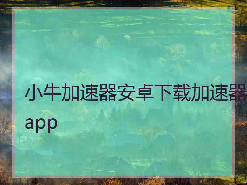 小牛加速器安卓下载加速器app