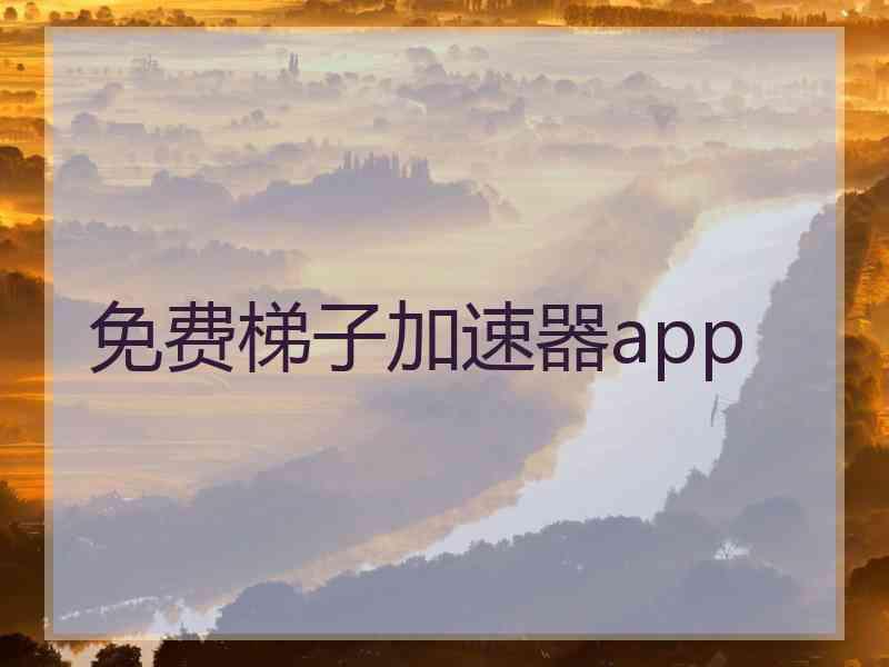 免费梯子加速器app