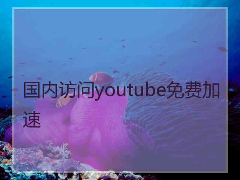 国内访问youtube免费加速