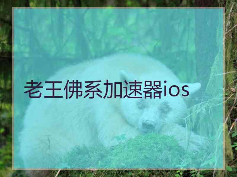 老王佛系加速器ios