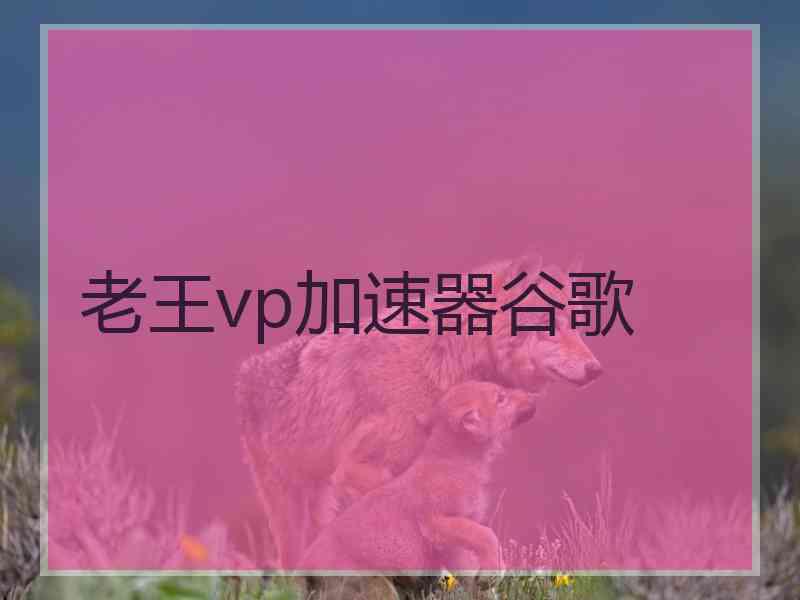 老王vp加速器谷歌