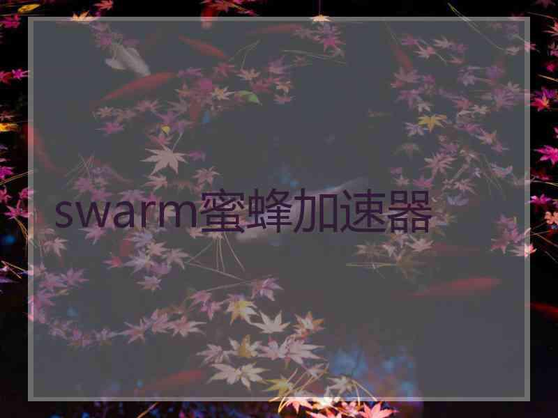 swarm蜜蜂加速器