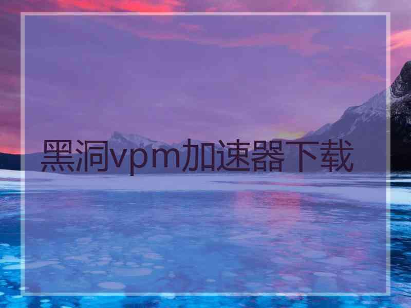 黑洞vpm加速器下载