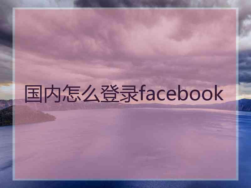 国内怎么登录facebook