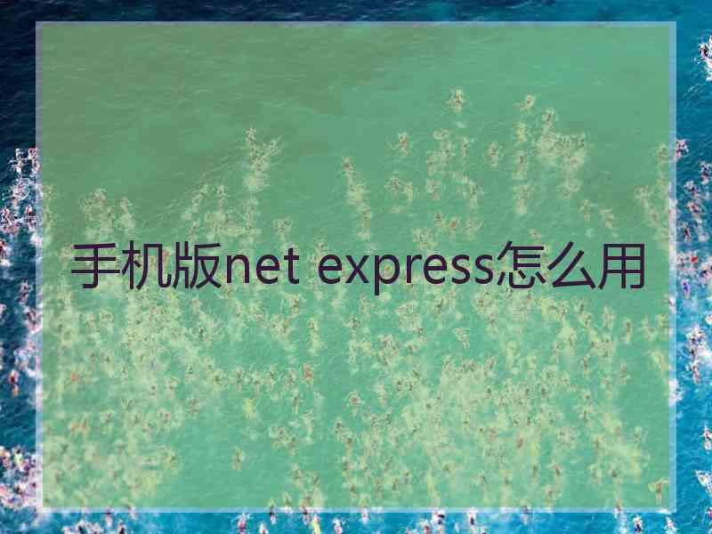 手机版net express怎么用