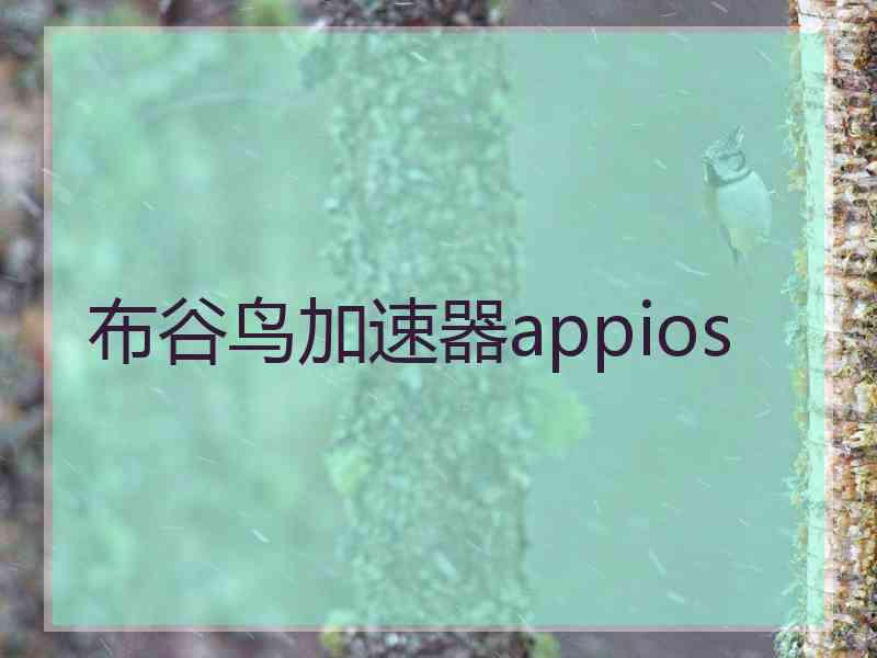 布谷鸟加速器appios