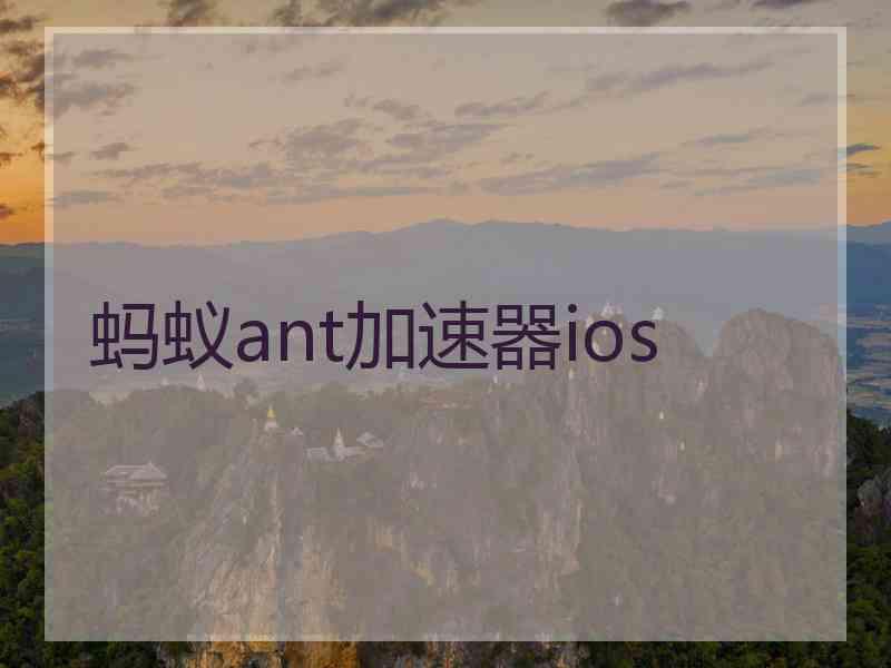 蚂蚁ant加速器ios