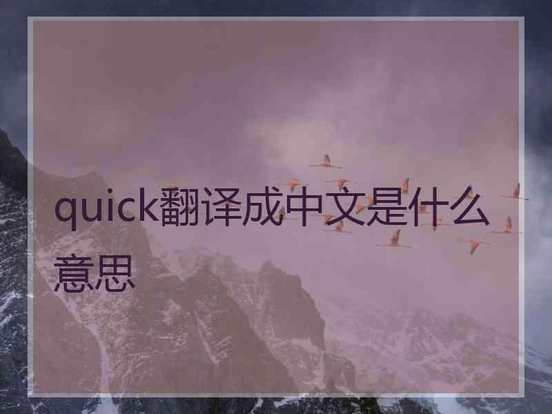 quick翻译成中文是什么意思