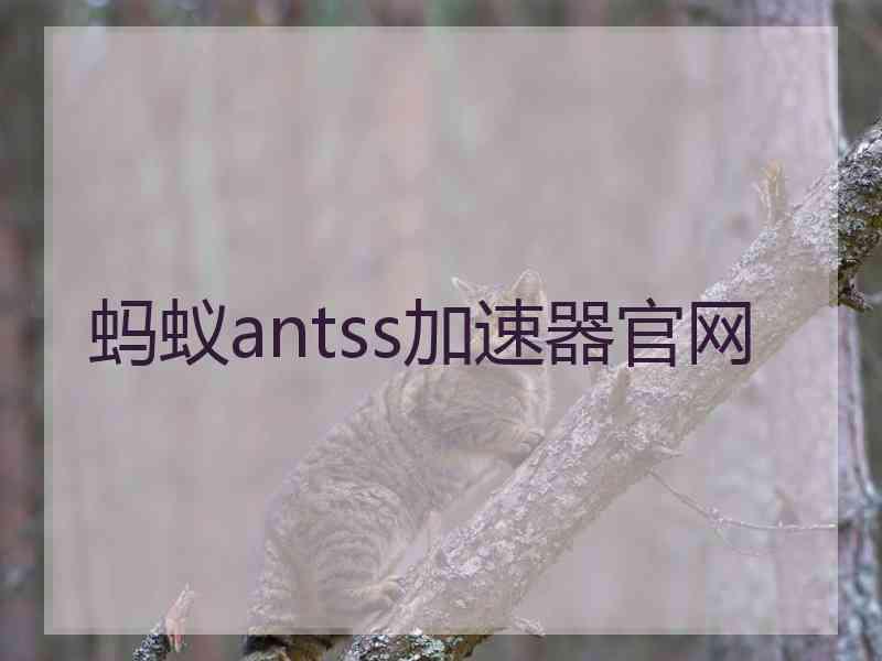 蚂蚁antss加速器官网