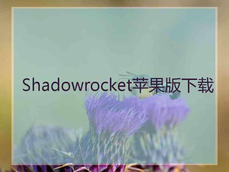 Shadowrocket苹果版下载