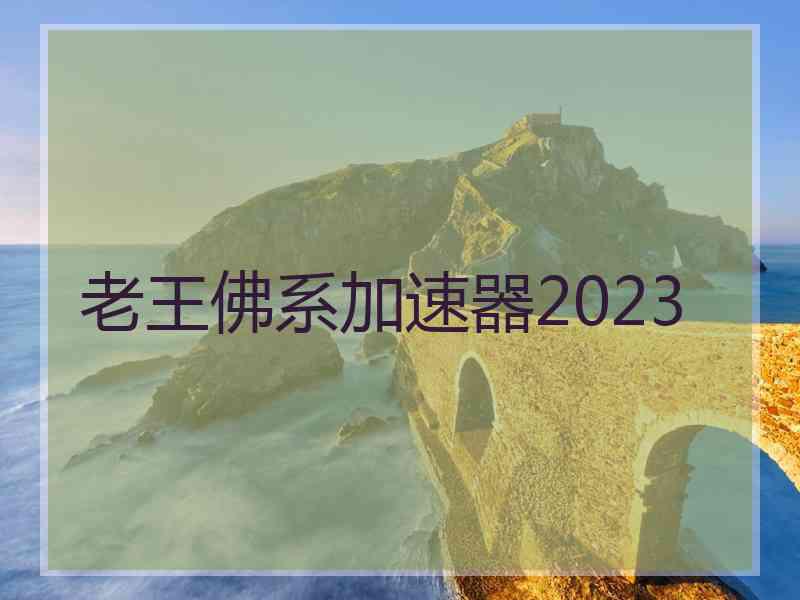 老王佛系加速器2023