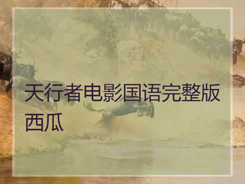 天行者电影国语完整版西瓜