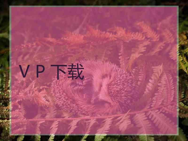 V P 下载