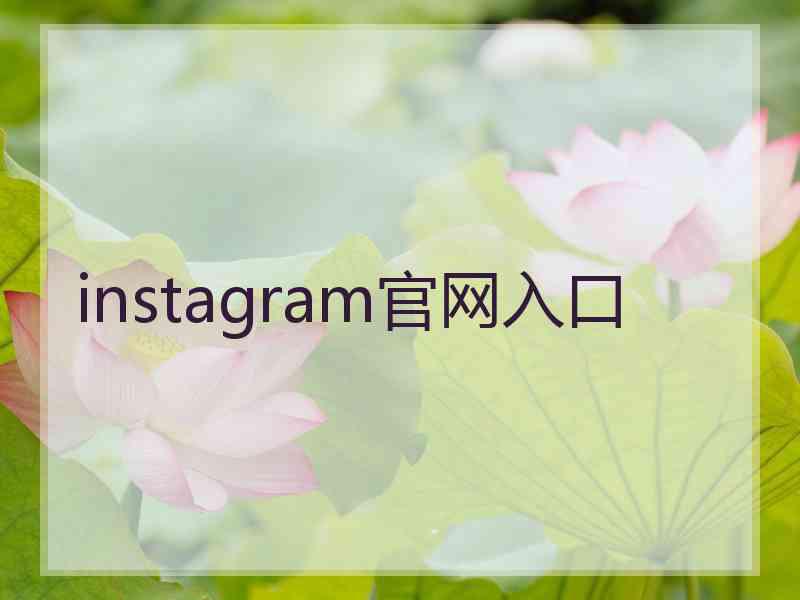 instagram官网入口