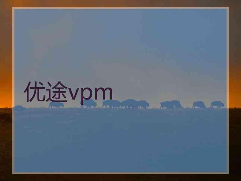 优途vpm