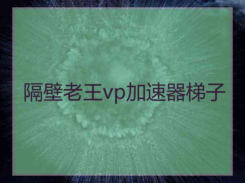 隔壁老王vp加速器梯子