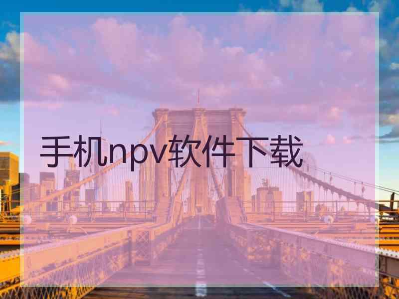 手机npv软件下载