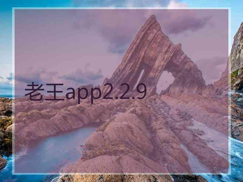 老王app2.2.9