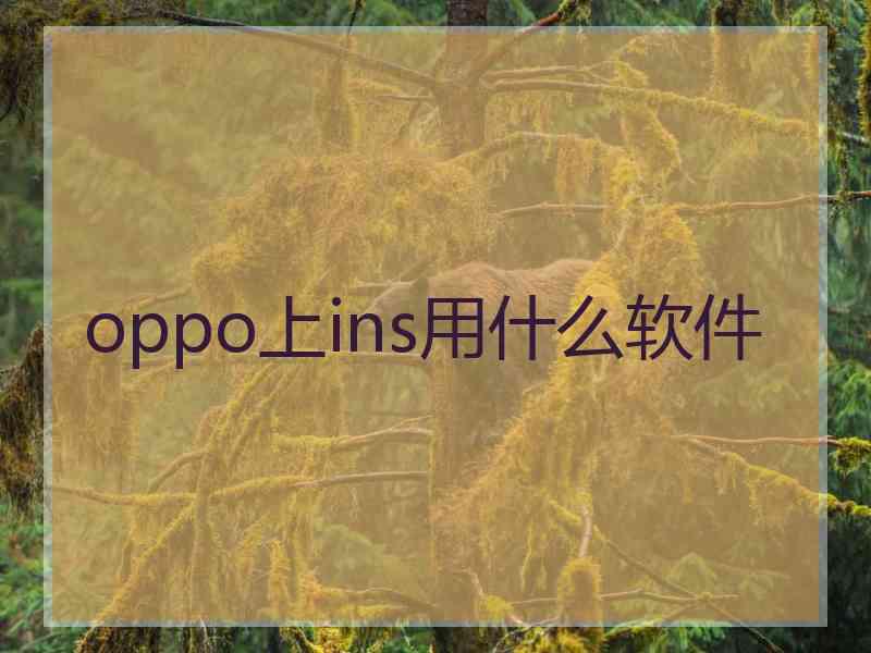 oppo上ins用什么软件