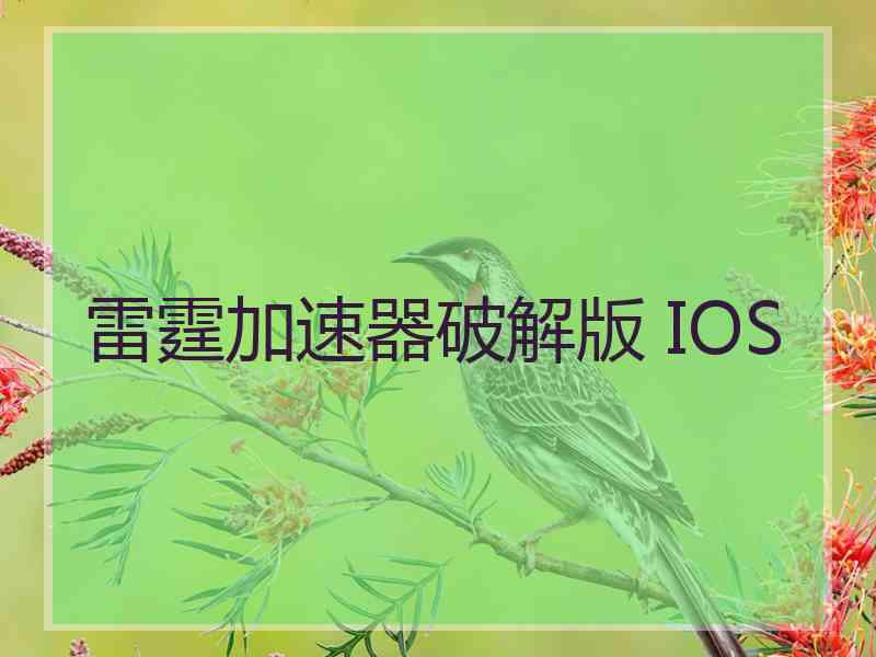 雷霆加速器破解版 IOS