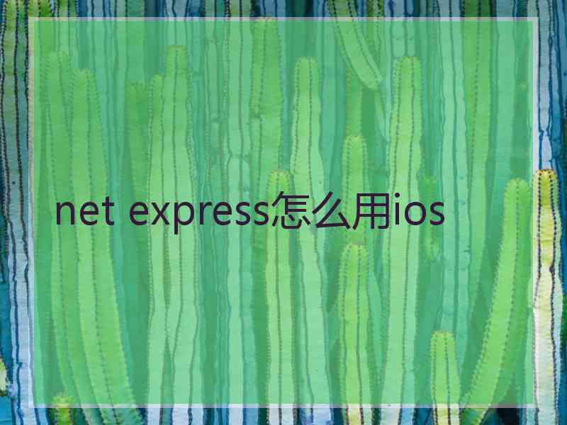 net express怎么用ios