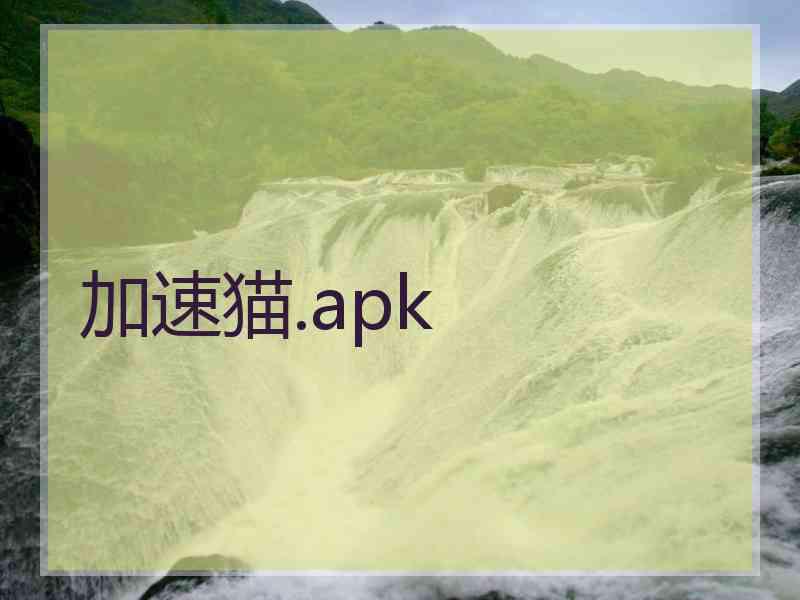 加速猫.apk