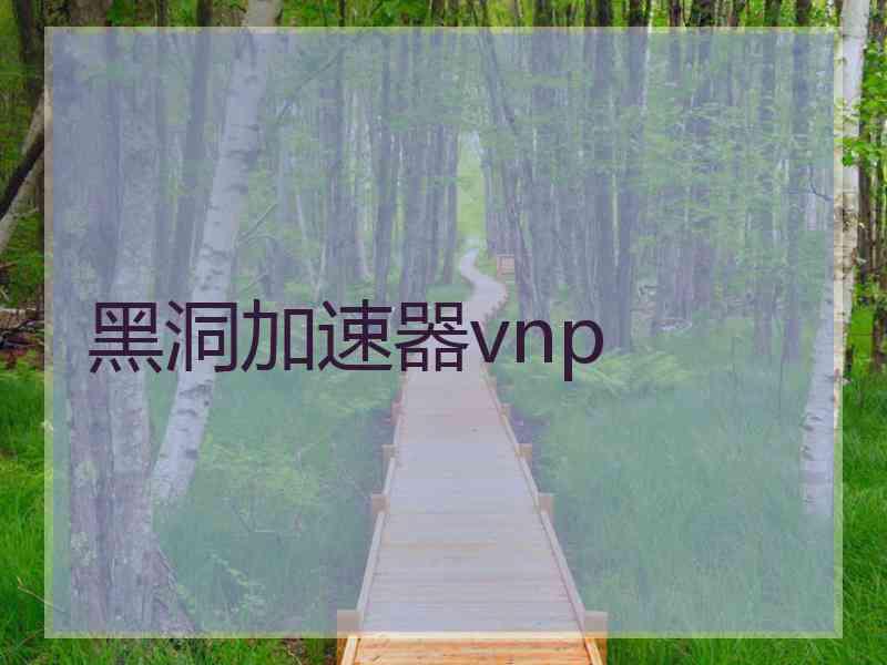 黑洞加速器vnp