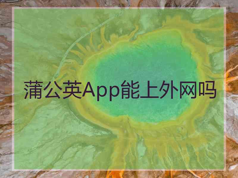 蒲公英App能上外网吗