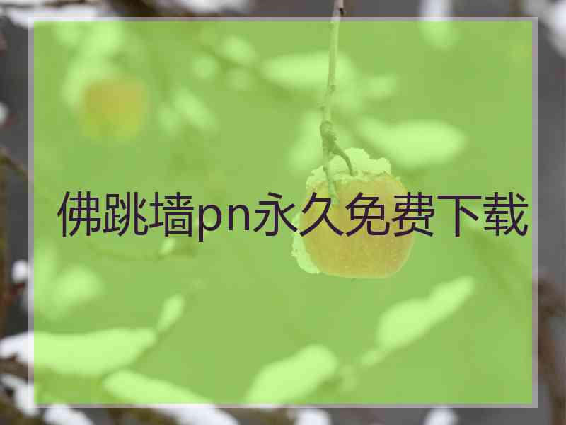 佛跳墙pn永久免费下载