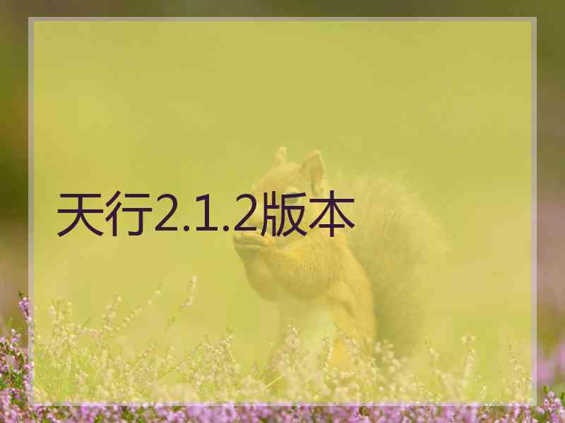 天行2.1.2版本