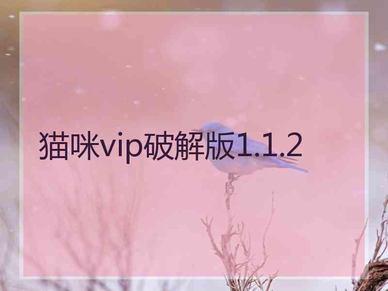 猫咪vip破解版1.1.2