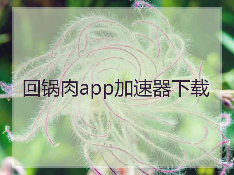 回锅肉app加速器下载