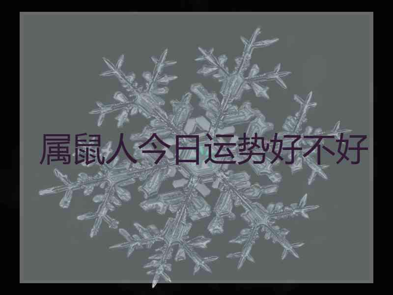 属鼠人今日运势好不好